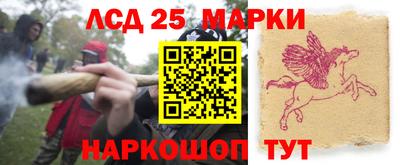 СК Пушкино